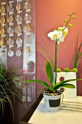 Hotel Oxo Biarritz Exterior foto